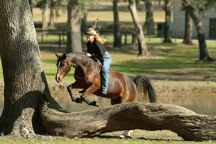 Christi and Annie at the Parelli Center in Florida - Photo by Coco Baptist