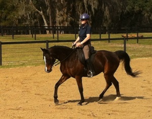 Christi riding Annie in a Lesson with Linda Parelli Christi Rains and her mare Annie power up in their lesson with Linda Parelli
