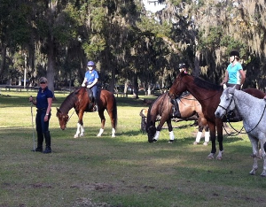 Christi Rains riding Stetson get a lesson with Linda Parelli Christi Rains with her young gelding Stetson getting a lesson with Linda Parelli