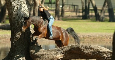 4-Star Parelli Senior Instructor and her horse Annie bareback and bridleless