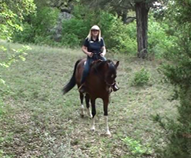 Trail Safety Tips for riding your horse down hill and leading down a narrow trail - www.christirains.com