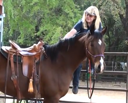 Teach your horse to pick you up from the fence - www.christirains.com